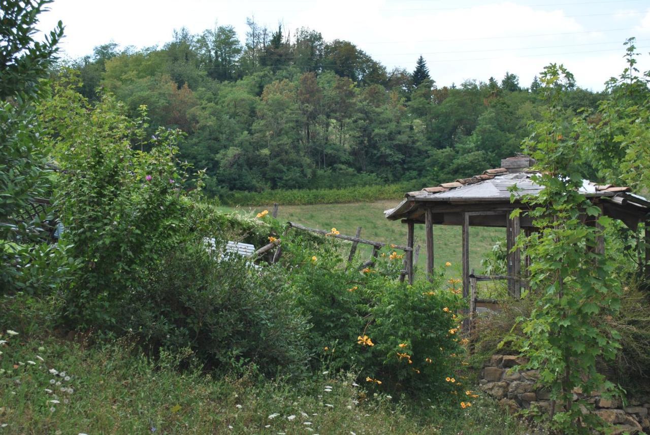 Agriturismo Petrarosa Neviano degli Arduini Екстериор снимка